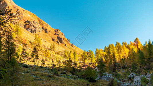 意大利弗乌里维尼西亚吉尤利亚阿尔卑斯山的阳图片