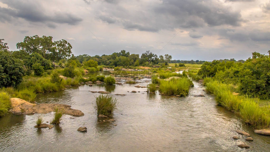 南非克鲁格公园Skuukuza营地附近的Sabie河图片