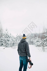 冬季走在松树林里的男摄影师图片