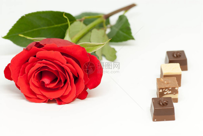 红玫瑰和各种巧克力形状在白色背景情爱情人节的图片