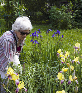 视力差的白头发长老年妇女在花园里照图片