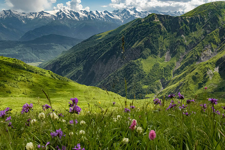 格鲁吉亚绿草地带有山景和野花格鲁吉高清图片