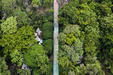 公园热带雨林的热带雨林山谷长图片