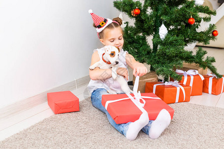 圣诞宠物和节日概念带小狗图片