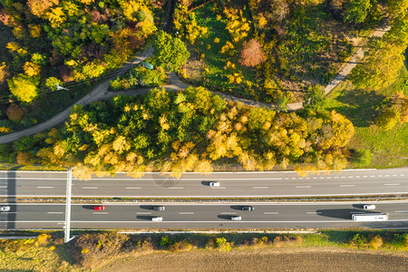 秋季森林与耕地之间的公路图片