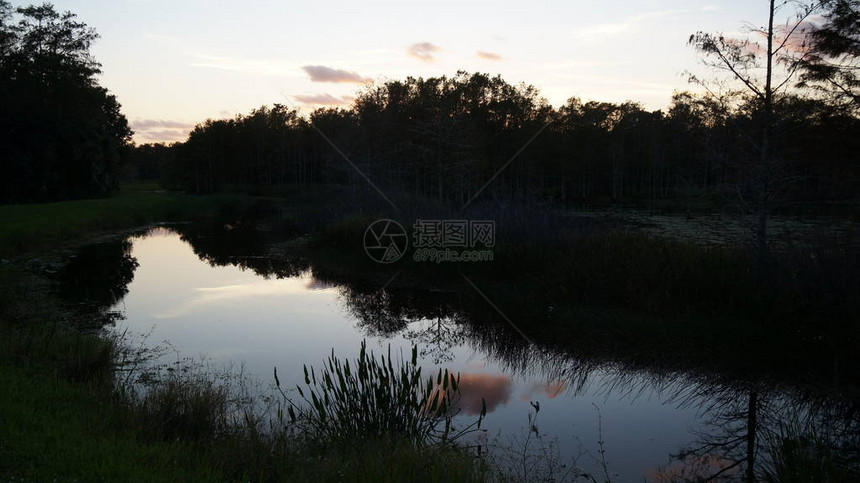 湿地沼泽日落景观图片
