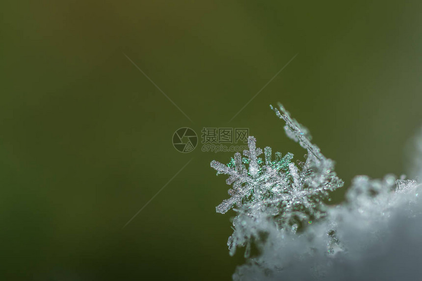 单颗闪发光的雪晶细节图图片