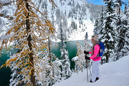 寒假特惠班年轻快乐的女人在班夫公园在新鲜的雪地上穿雪鞋加拿大落基山脉的黄色落叶松树季节卡尔加里艾伯背景