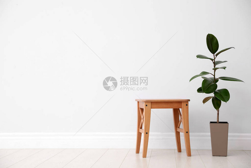 白墙附近的榕树和凳子文字空间家庭植物图片