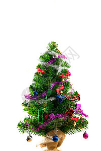 用礼物和白色背景装饰的绿色圣诞树图片