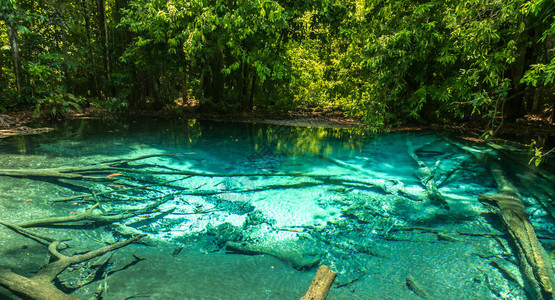 泰国甲米府的翡翠矿池图片