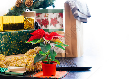 圣诞礼物盒子笔记本电脑和红薄荷白底带的白色背景购买假日在桌图片