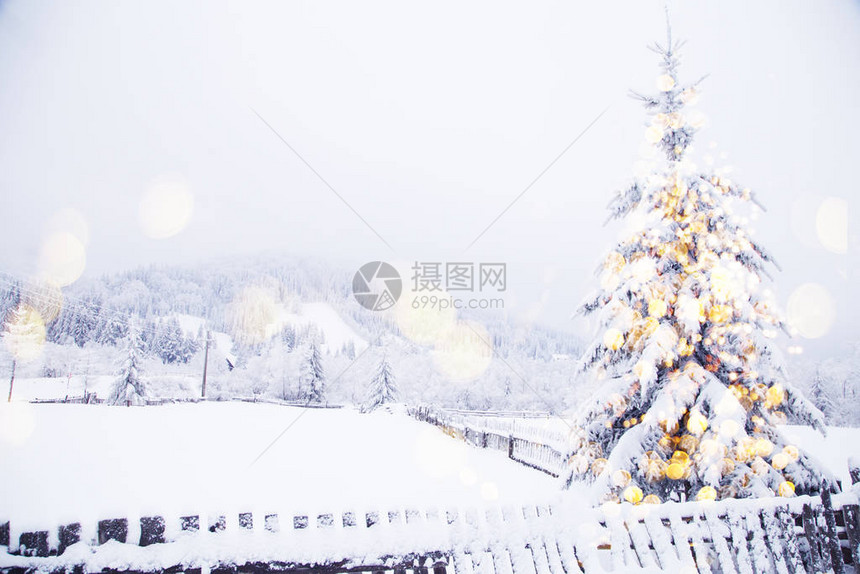神奇的圣诞树灯冬季背图片