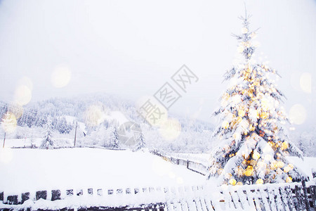 神奇的圣诞树灯冬季背图片