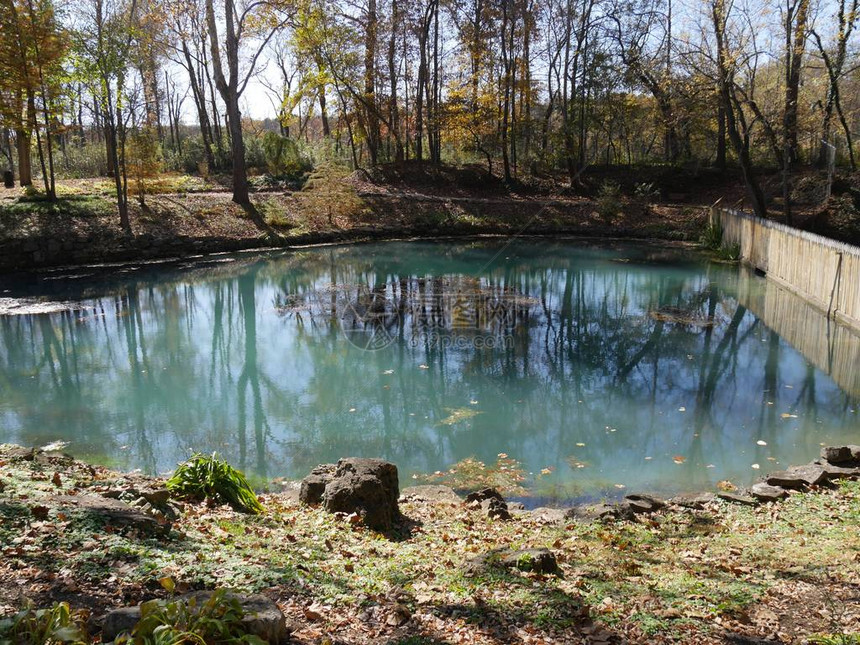 公园景色蓝泉映衬秋色树木图片