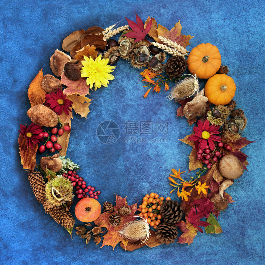 收获节的秋花圈由各种自然植物动物和食物组成图片