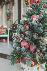 家中装饰圣诞树的侧视图图片