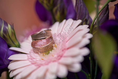 婚礼当天关闭了两个结婚戒指和粉红色梅图片