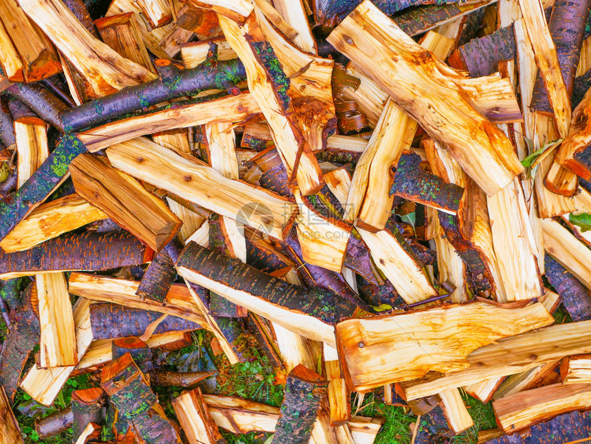 刚砍下的原木切松原木特写冬天的柴火许多新鲜日志的花束湿原图片