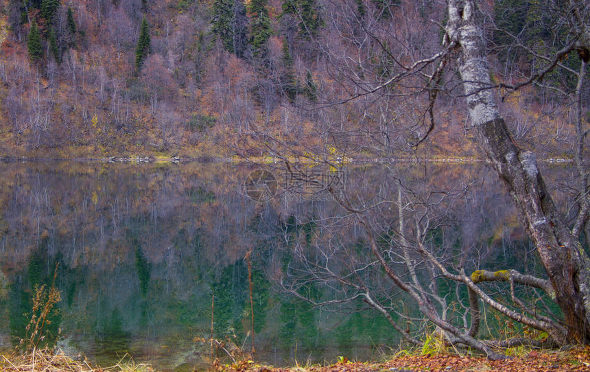 Kardyvach山湖与反射高加索山脉的秋季风景图片