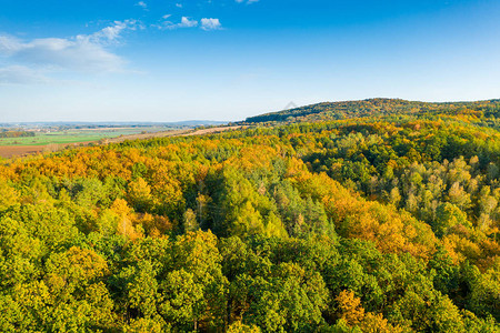 美丽的秋色森林的空中景象图片