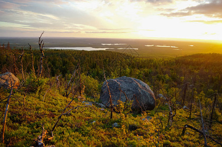 对俄罗斯卡雷利亚Vottovaara山的泰加森林和湖图片