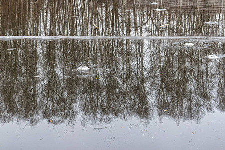 池塘透明冰面上的树木倒影图片