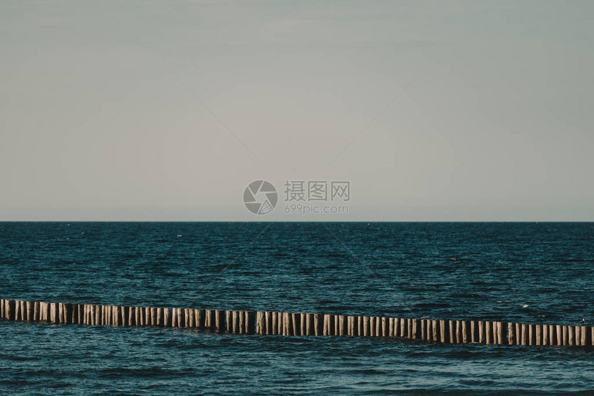 波罗的海日落与海鸥夏季时间黄金时段图片