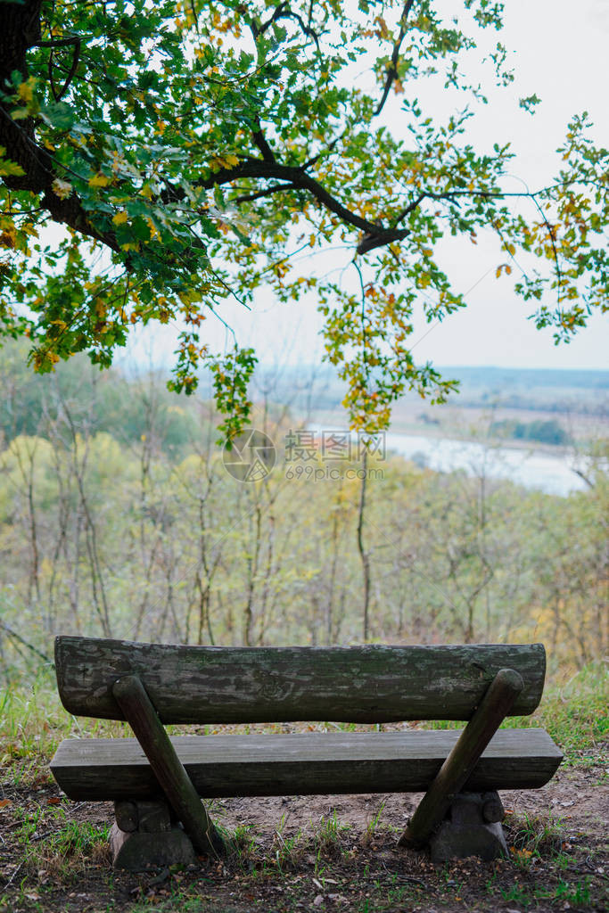 秋季公园的长凳秋天的风景观点图片