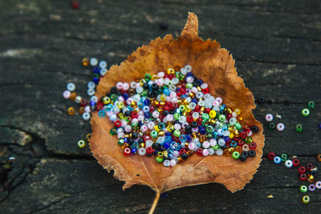 许多美丽有色珠子散落在木头背景和秋叶上图片