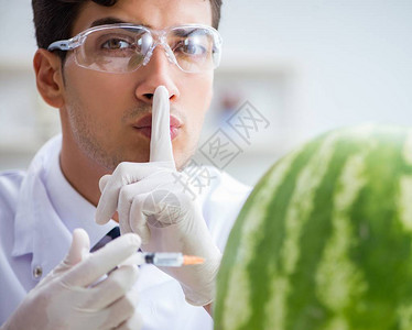 在实验室测试西瓜的科学家图片