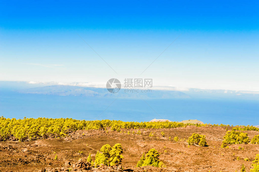 火山岩包围的冷杉有背景的大西洋在ElTeide公园2019年4月13日圣克鲁斯德特内里费西班牙非洲图片