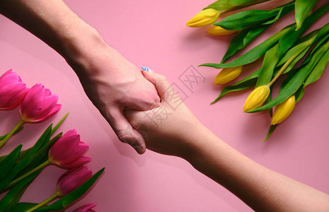 男人和女人握手在粉红背景上用郁金香图片