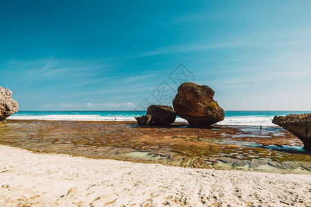 退潮时的石头蔚蓝的大海巴厘岛的沙滩图片