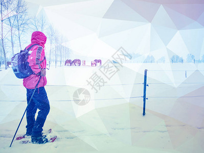 雪鞋运动季节体育活动体育运动员休闲娱乐旅行概念图片