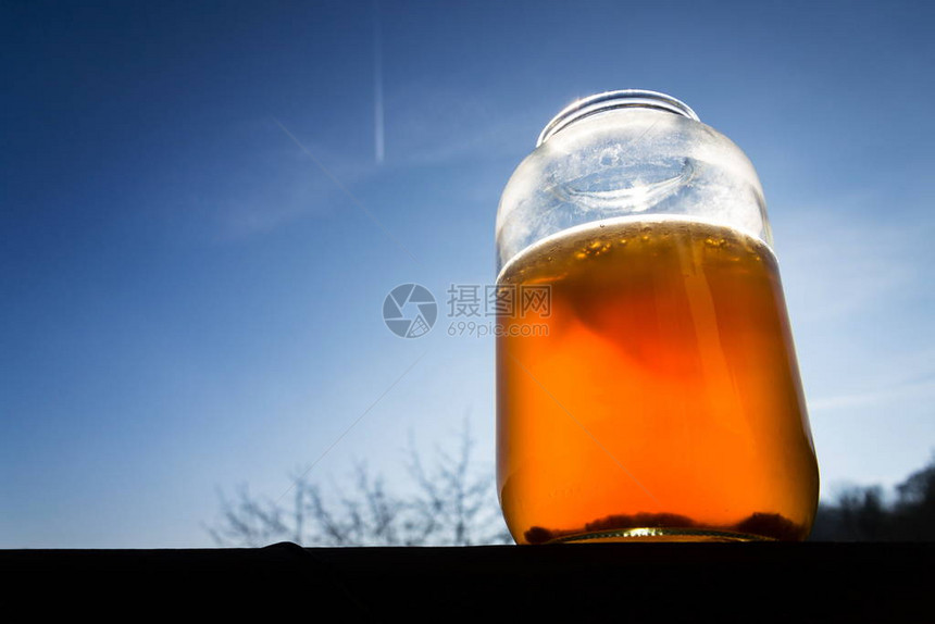天然发酵茶杯玻璃罐中的茶图片