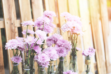 束花粉色菊花紫色美丽菊花装饰在明亮客厅植物花瓶中的特写图片