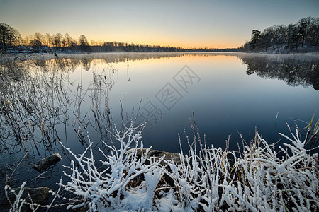 在湖附近的初冬早晨图片