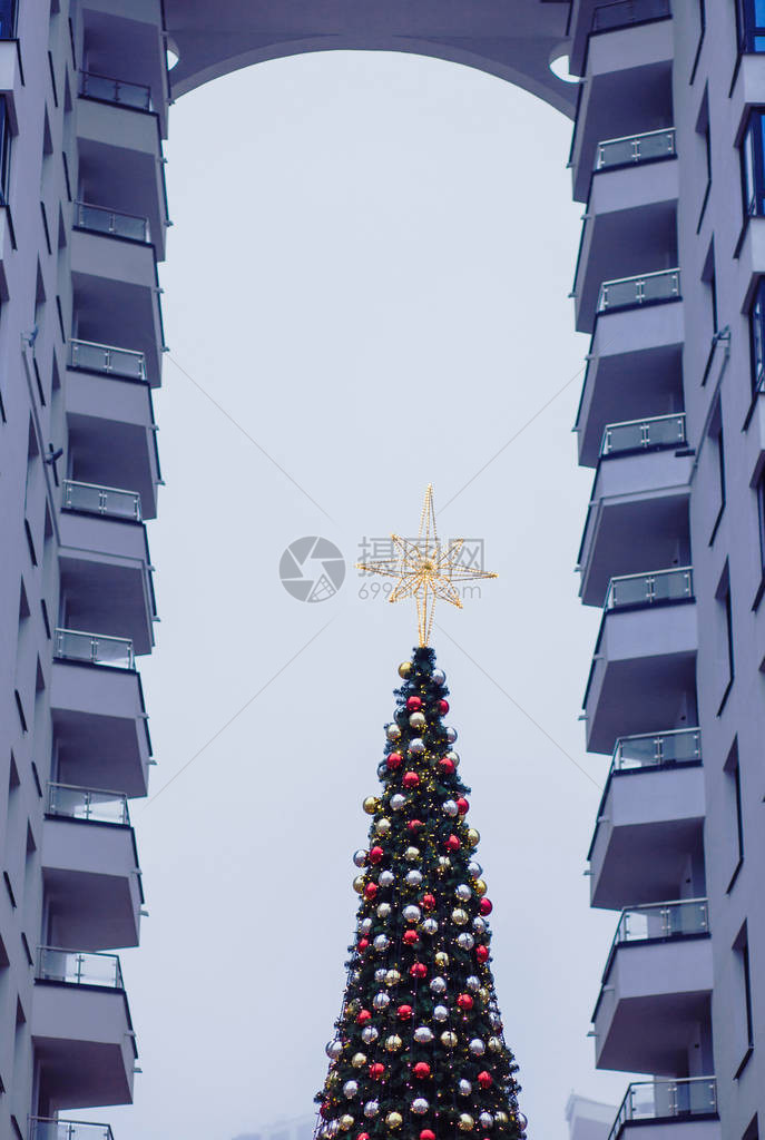 新年和假期的装饰品树枝上的圣诞球图片