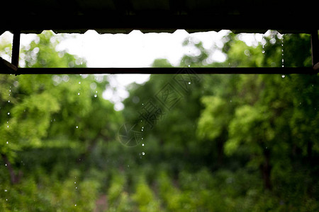 背景模糊的屋顶上的雨滴图片