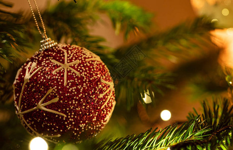 圣诞球红色装饰挂在杉树枝上图片