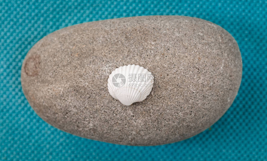 小白贝壳位于灰石上蓝色的海平面布料背景图片