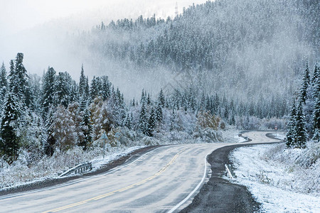 冬季冰雪沥青路前往山区的公路旅行在树林中筑路图片