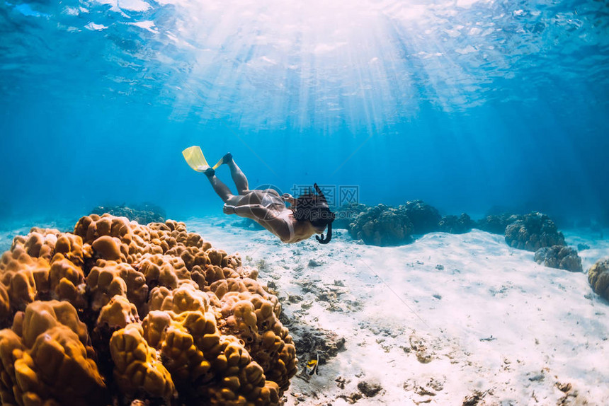 自由潜水的年轻女子黄鳍在沙底图片