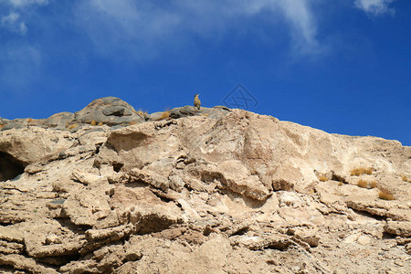 位于玻利维亚南美洲波托西省干旱沙漠的鲜蓝天空下的岩石山丘下图片