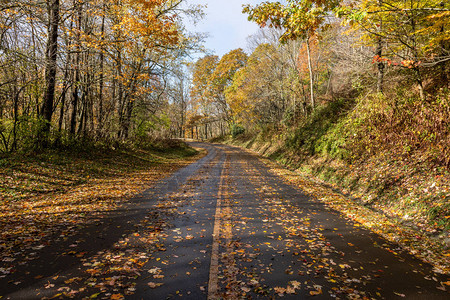 大斯莫基山公园的秋天道路阿巴拉图片