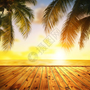 热带海洋和椰子棕榈树叶日落时在前角木码图片