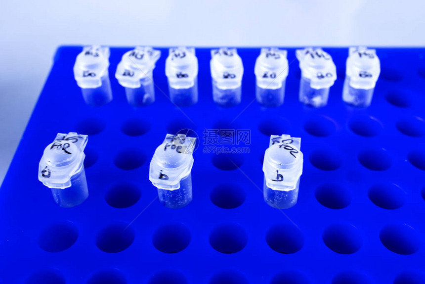蓝色架状体微管02毫升PCR仪器放大图片