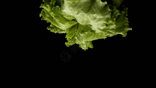 新鲜的绿色生菜在黑色背景下旋转的特写图片