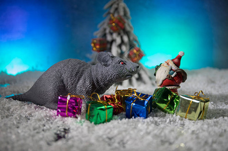 带着圣诞装饰品和圣诞老人的可爱棕色大鼠这只老鼠象征着新图片